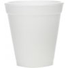 FOAM CUP 6 OZ