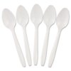 PLASTIC TEA SPOON WHITE