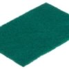SCOURING PAD